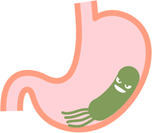 胃の中のピロリ菌