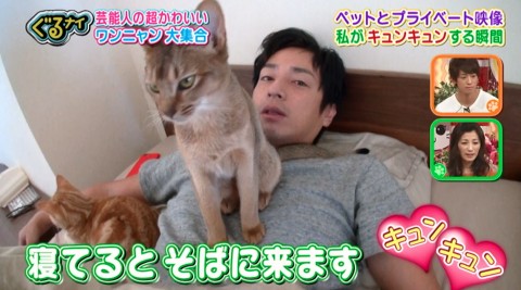 徳井さんと愛猫たち