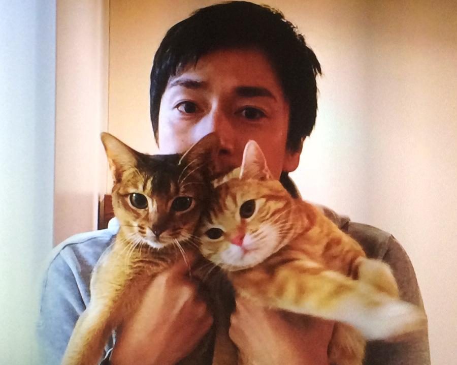 徳井さんの愛猫・右側「ミコちゃん」左側「エルちゃん」