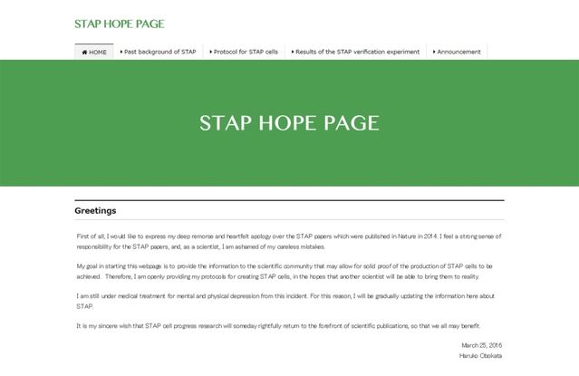 小保方晴子さんの公式HP「STAP HOPE PAGE」の画像