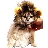【 可愛さ 超 アップ 】 愛 犬 愛 猫 用 ウィッグ 「 ライオン の たてがみ (耳 付き) 」 おしゃれ 簡単 装着 着せ替え MI-TATEGAMI