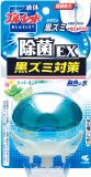 液体ブルーレット除菌EX 黒ズミ対策 スーパーミントの香り 70mL