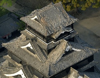 熊本城は瓦が落ち、天守閣の鯱も行方不明