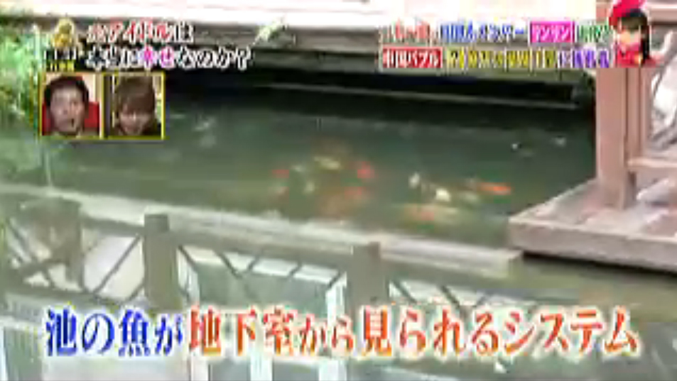池の魚が地下室から見られるシステム