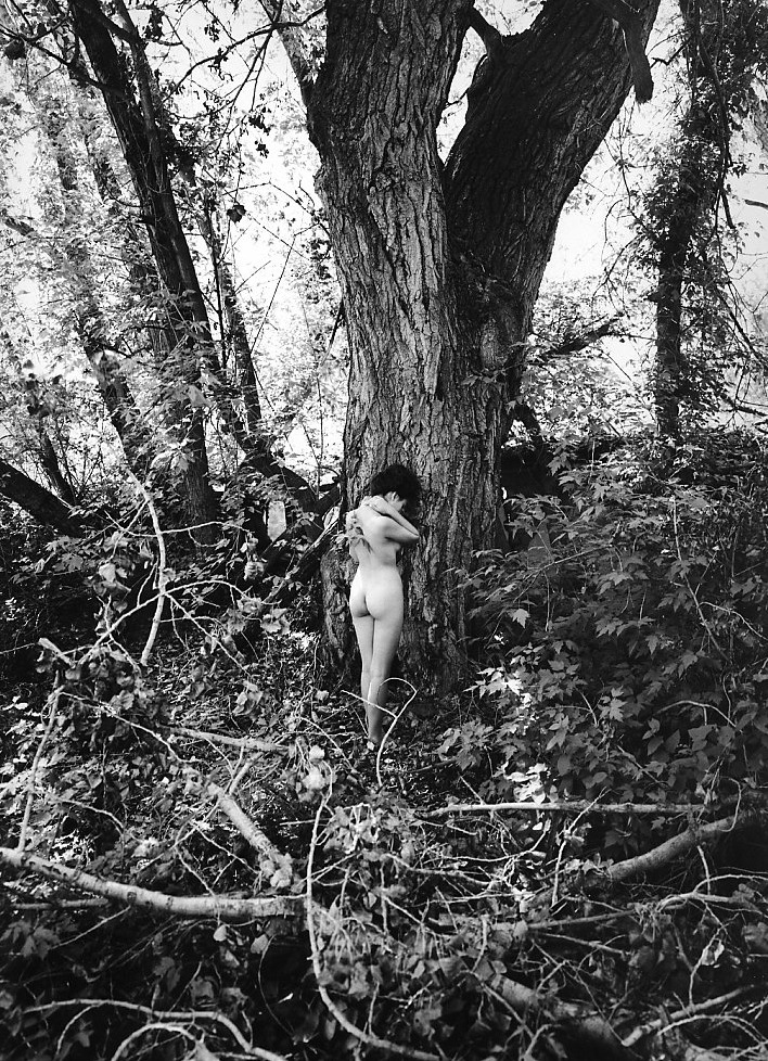 森の中、大木の真ん中に裸の少女が１人