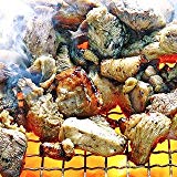 宮崎名物焼き鳥　鶏の炭火焼100ｇ　手仕込み+冷凍でなければ出来なかった焼き立てのお店の味 (100ｇ×6パック)